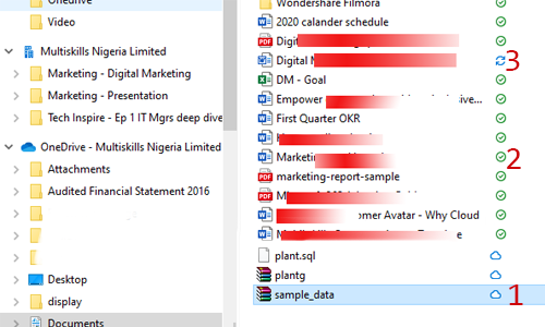 Multiskills-OneDrive-Ready 