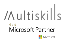 Multiskills Partner logo