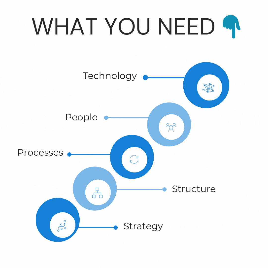 Business digitization requirements