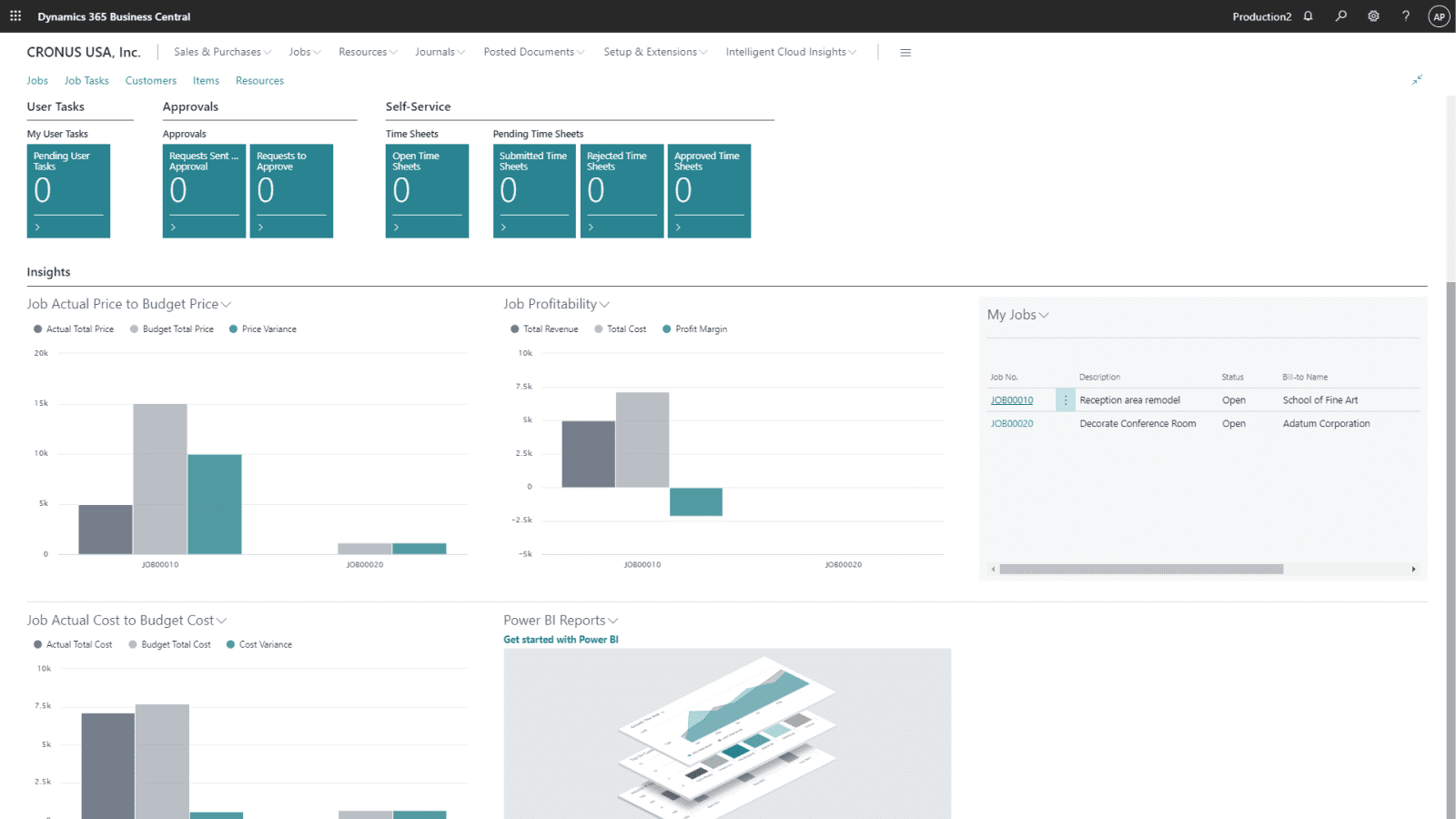 Business central project success